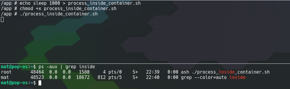 CVE-2020-28243 SaltStack Minion Local Privilege Escalation