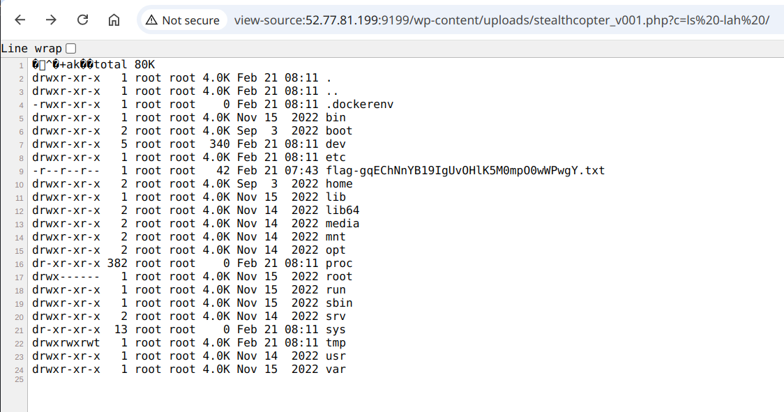 Listing files using the shell