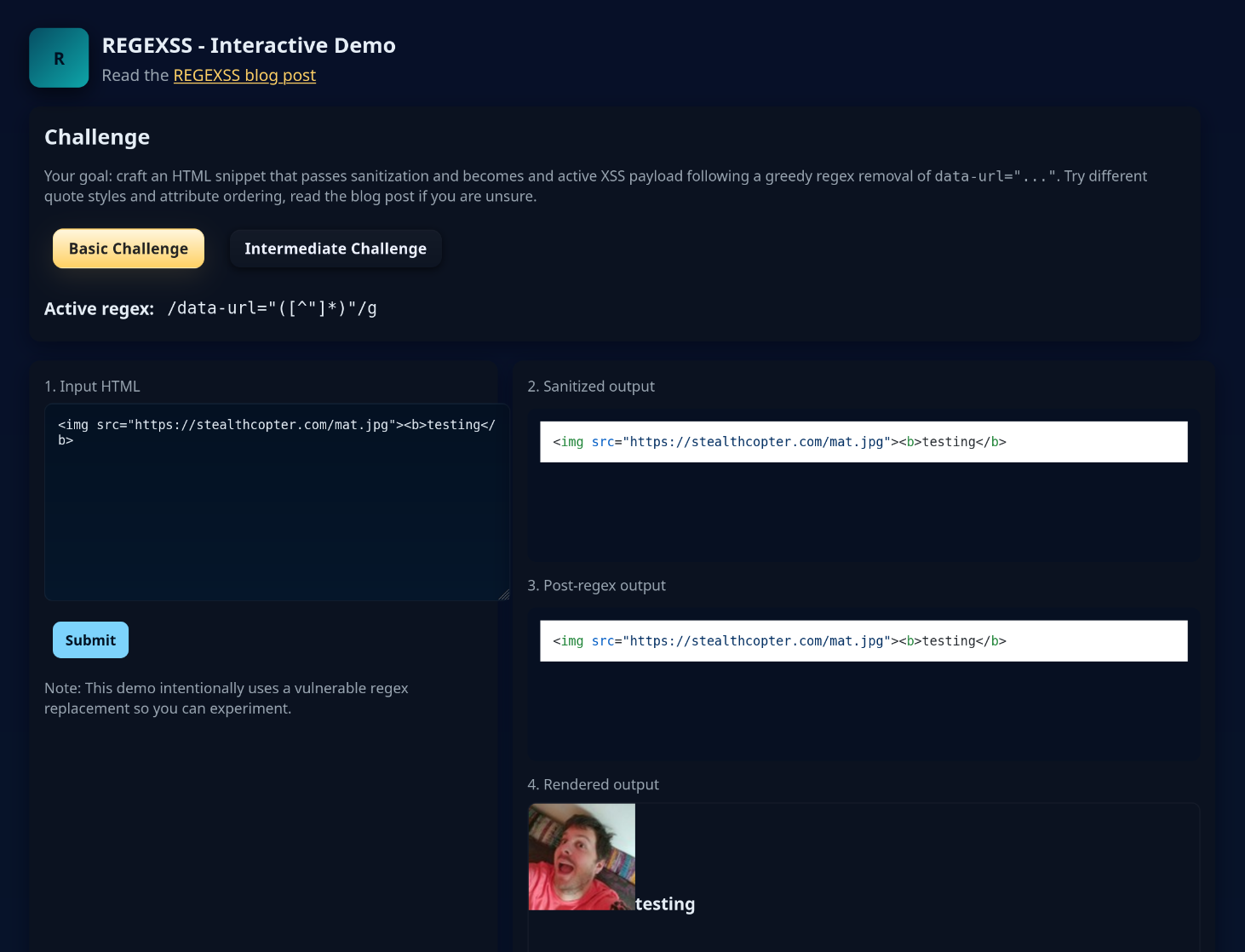 Screenshot of the demo page